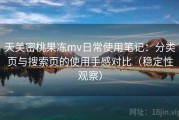 天美密桃果冻mv日常使用笔记：分类页与搜索页的使用手感对比（稳定性观察）
