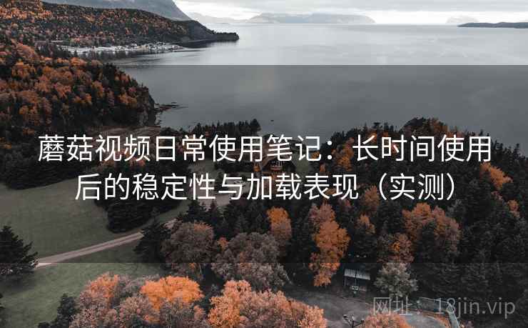 蘑菇视频日常使用笔记：长时间使用后的稳定性与加载表现（实测）