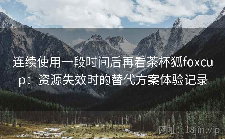 连续使用一段时间后再看茶杯狐foxcup：资源失效时的替代方案体验记录