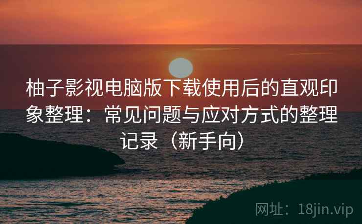 柚子影视电脑版下载使用后的直观印象整理：常见问题与应对方式的整理记录（新手向）