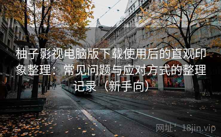 柚子影视电脑版下载使用后的直观印象整理：常见问题与应对方式的整理记录（新手向）